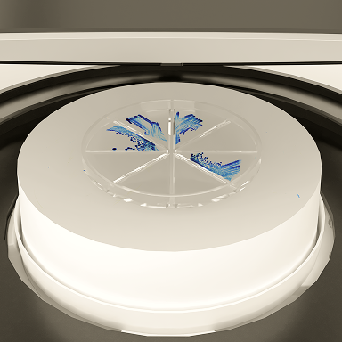Agar Plate